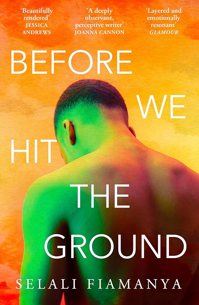 Before We Hit the Ground: The powerful new literary novel for fans of OPEN WATER and EVENINGS AND WEEKENDS cover image