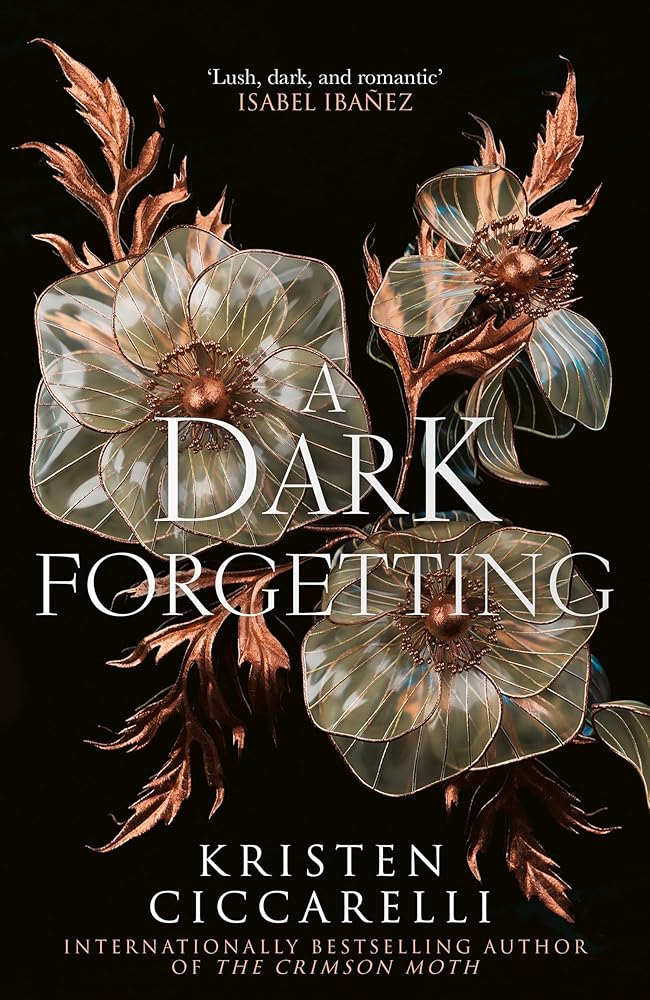 A Dark Forgetting: a sweeping romantasy from the author of global bestseller THE CRIMSON MOTH cover image