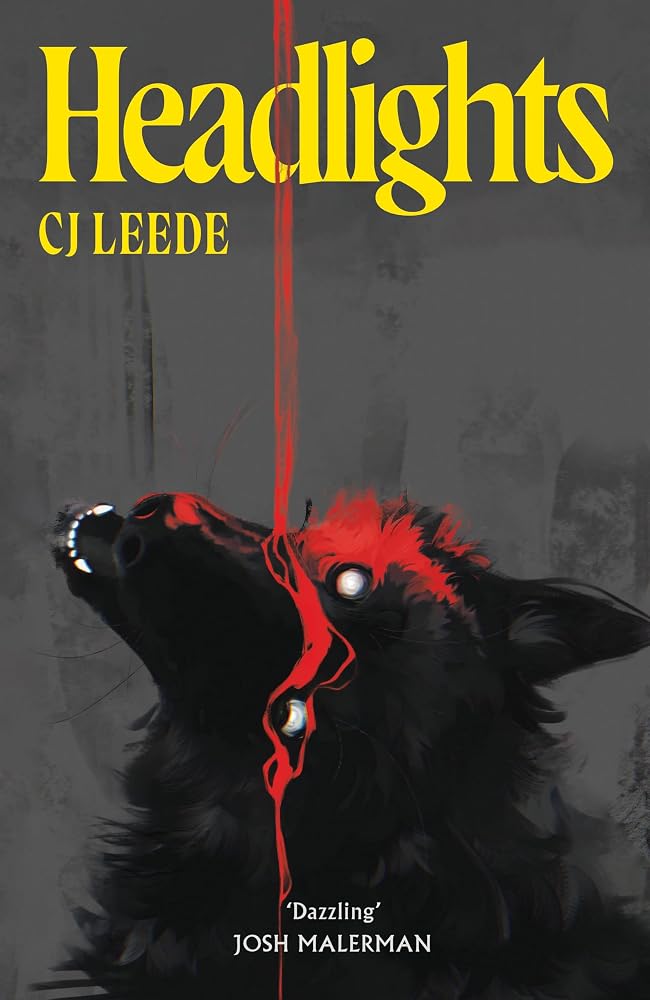 Headlights cover image