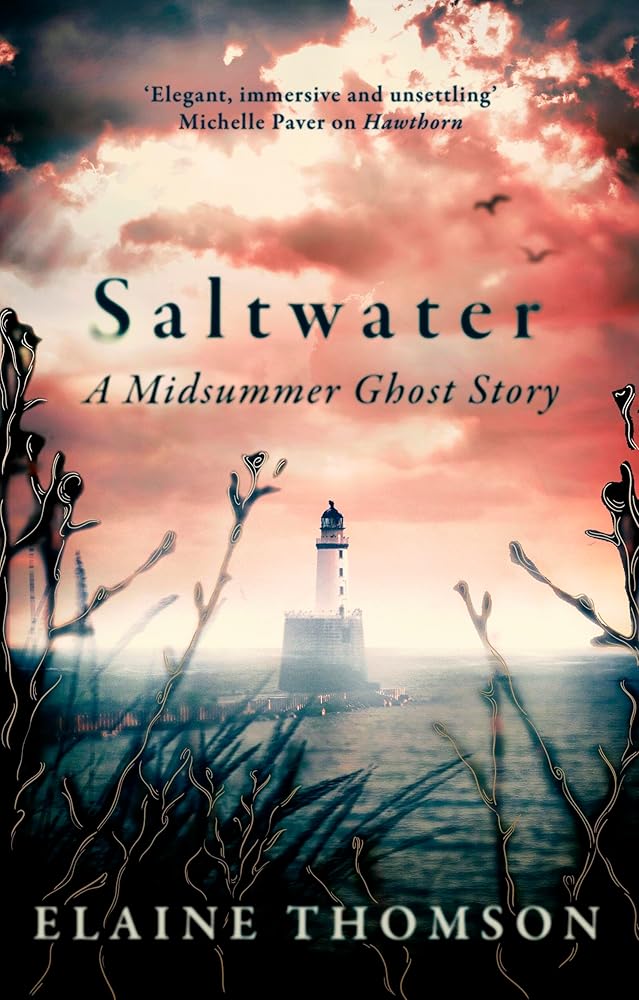 Saltwater: A midsummer ghost story cover image