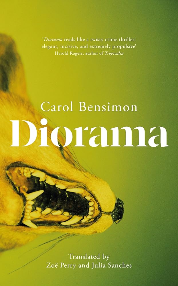 Diorama: an engrossing suspense novel set in 1980s Brazil cover image