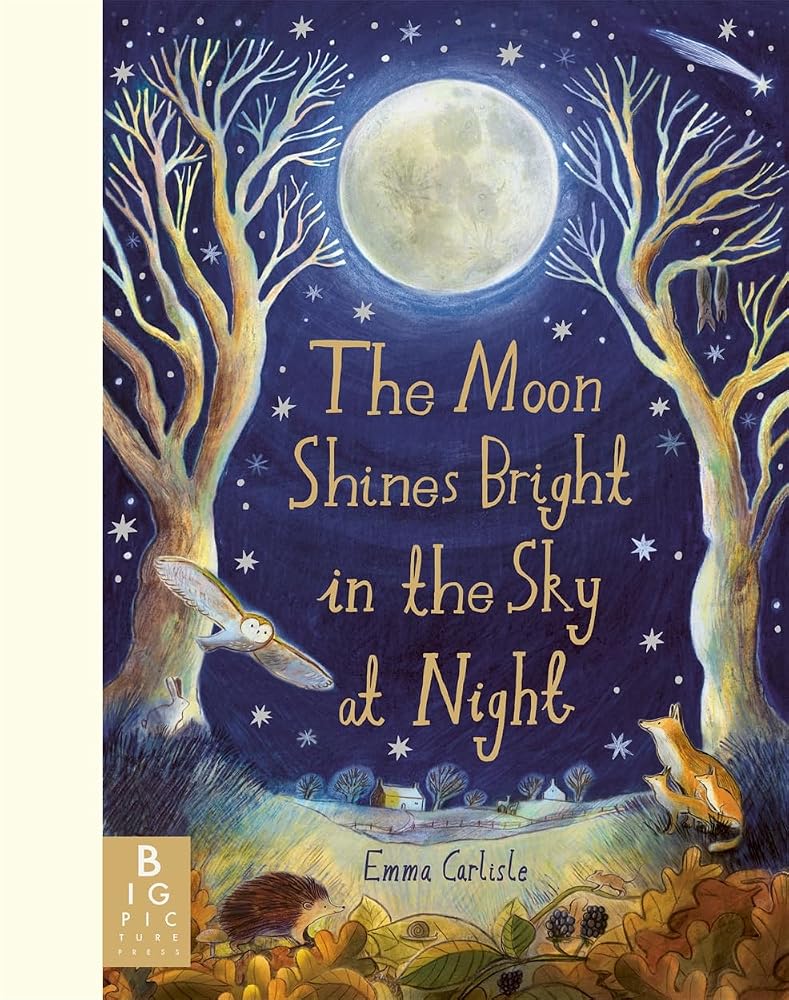 The Moon Shines Bright in the Sky at Night: A beautifully illustrated bedtime story filled with comfort, calm and the magic of nighttime cover image