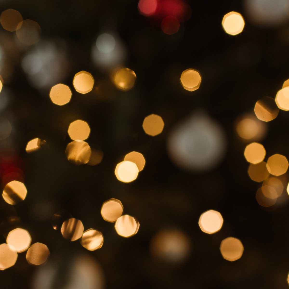 A Very Bookish Christmas: The V.I.B.P Party