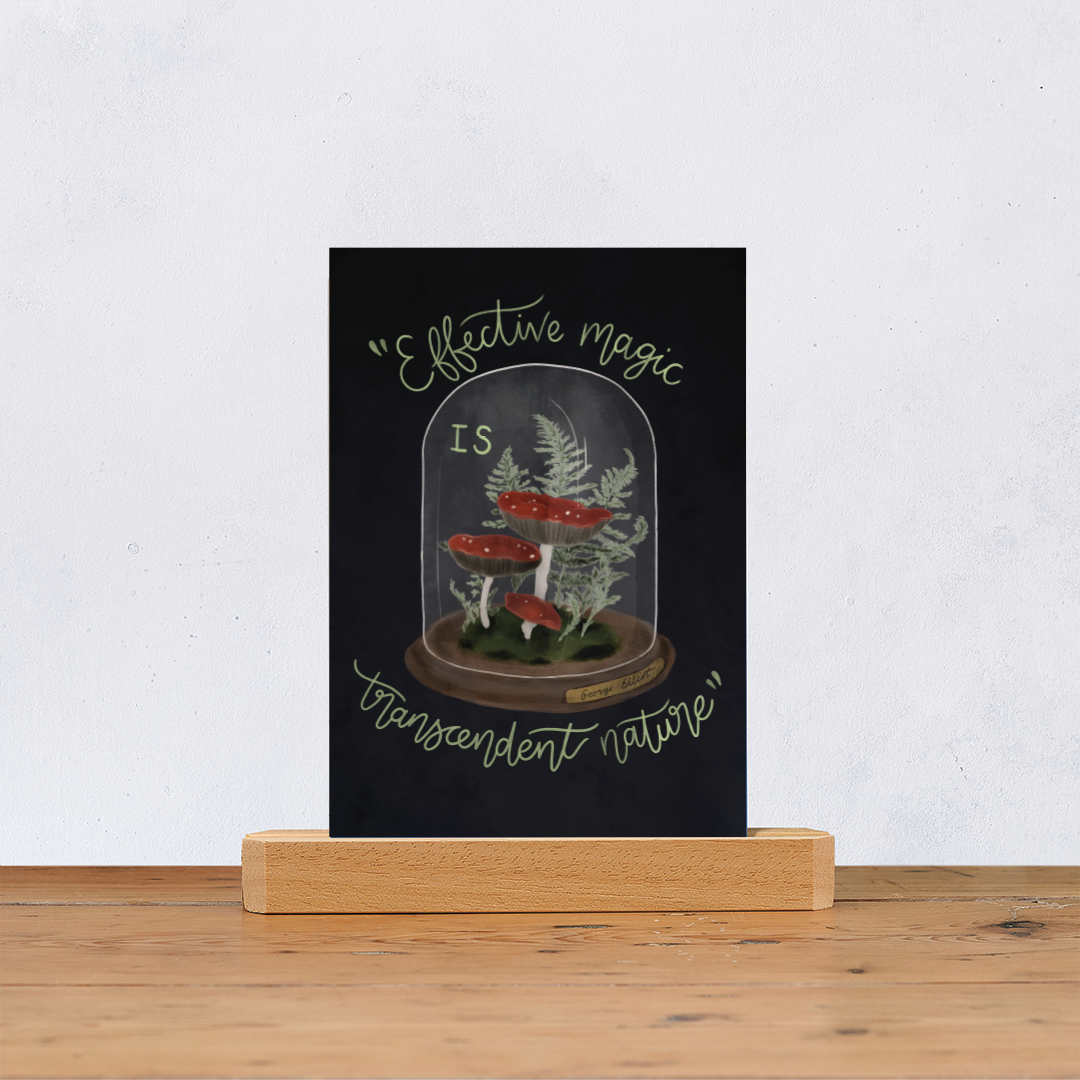 Dark Magic Style Postcard Set of 10