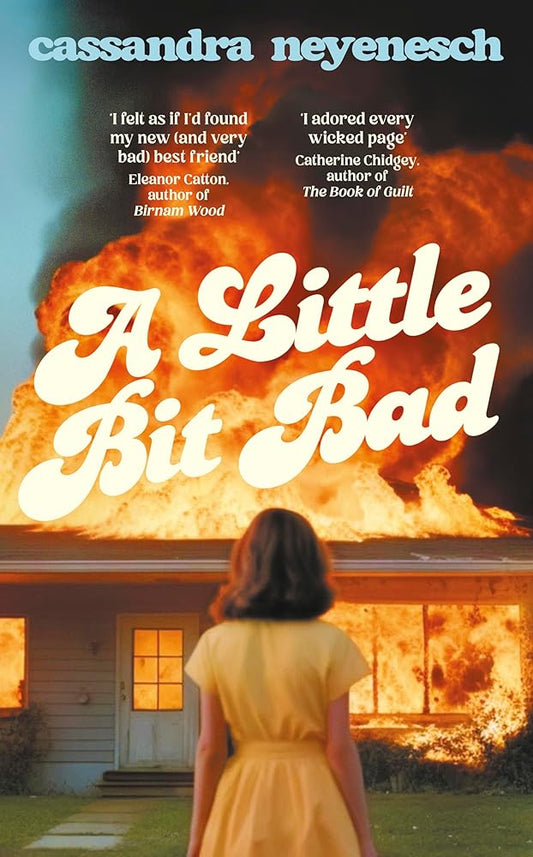 A Little Bit Bad: The dazzlingly wild and darkly funny debut novel about desire, obsession, motherhood and marriage cover image