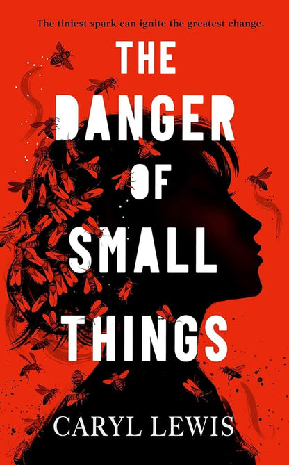 The Danger of Small Things: The YA debut from an award-winning and bestselling Welsh storyteller cover image