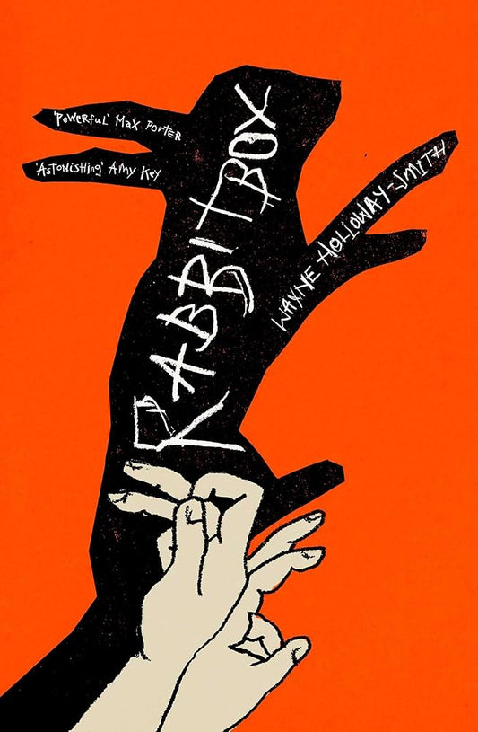 RABBITBOX cover image