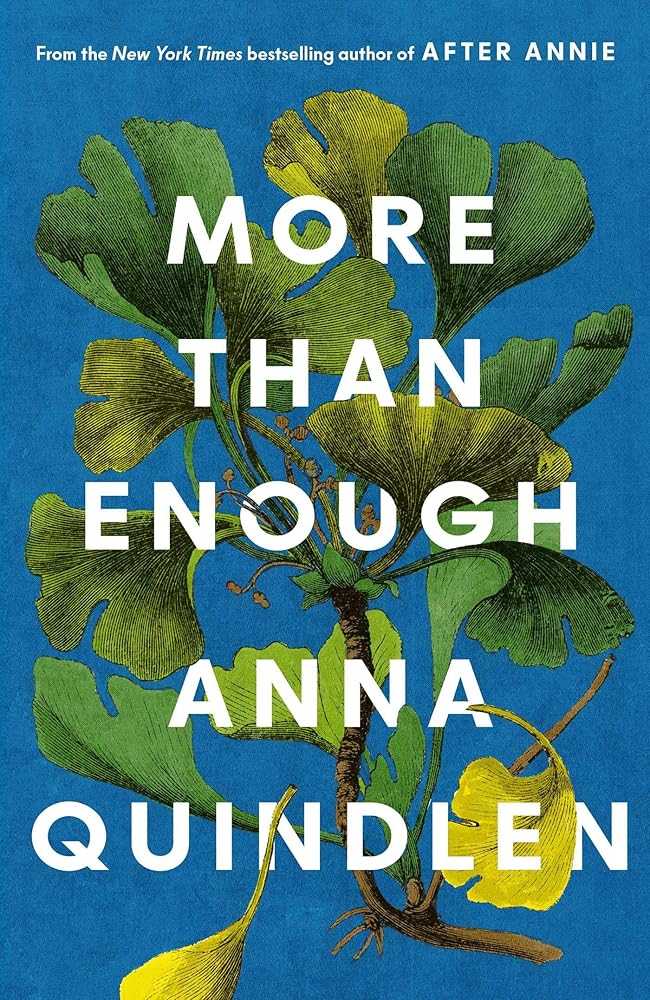 More Than Enough cover image