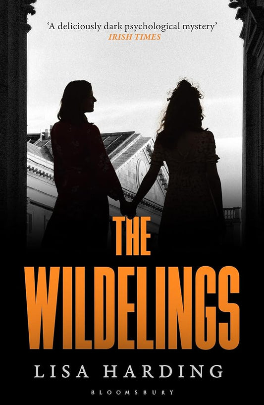 The Wildelings: ‘A deliciously dark psychological mystery’ IRISH TIMES cover image