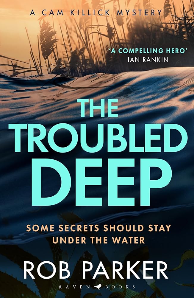 The Troubled Deep: 'The most brilliant Norfolk-set thriller since Elly Griffiths' Ruth Galloway books' Daily Mirror cover image