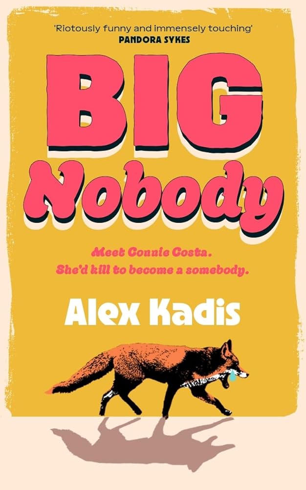 Big Nobody: The darkly funny new coming-of-age novel for fans of Bella Mackie and Derry Girls cover image