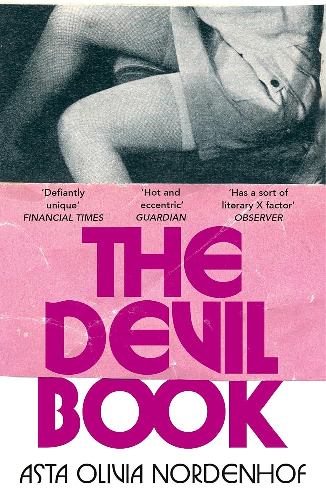 The Devil Book: Guardian Best Translated Fiction of 2025 cover image