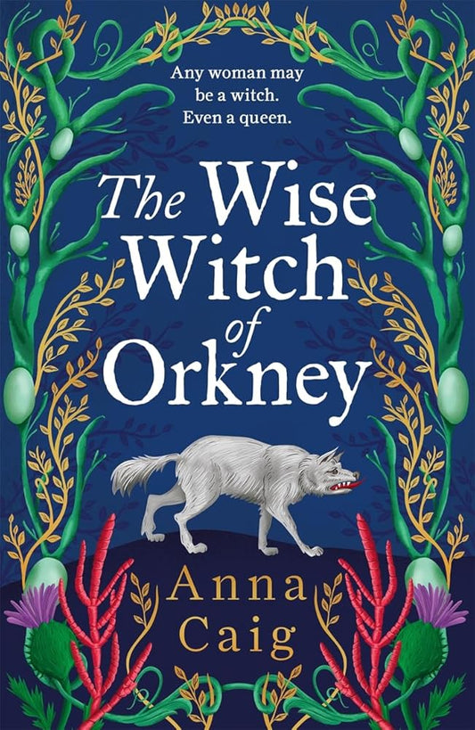 The Wise Witch of Orkney: A spell-binding debut novel about Scotland’s witch-hunting hysteria cover image