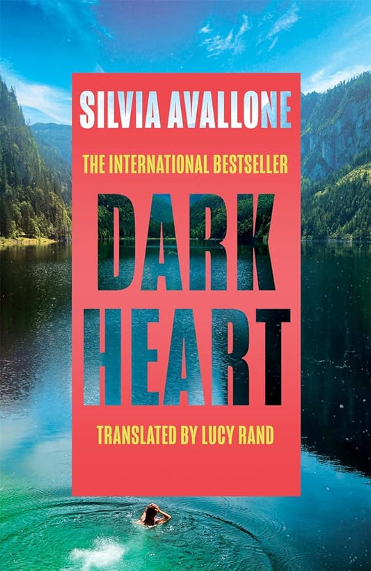 Dark Heart: The unforgettable, award-winning international bestseller - a story of love, guilt, betrayal and atonement cover image