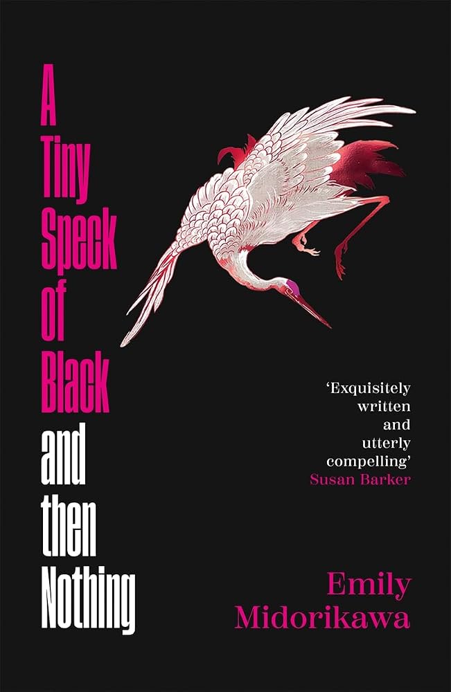 A Tiny Speck of Black and Then Nothing: Winner of the Lucy Cavendish Prize for Fiction cover image