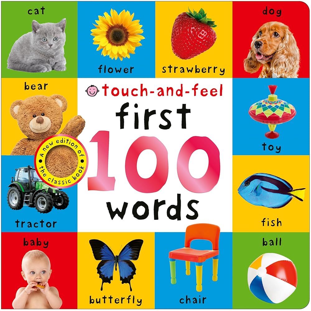 First 100 Words Touch and Feel cover image