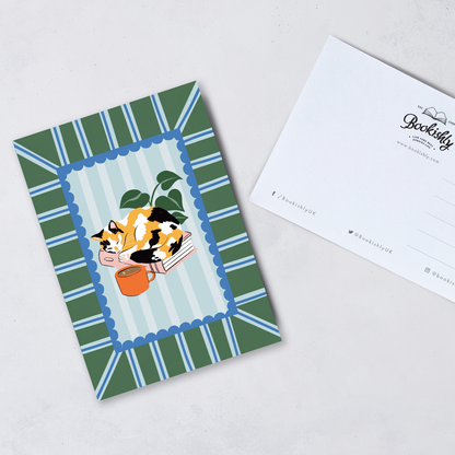 Random Reader Postcards