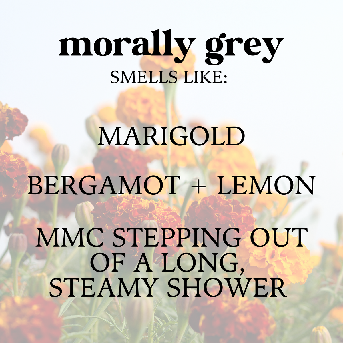 Morally Gray - 3 oz Candle Tin - Bookish Gift for Readers | Literari